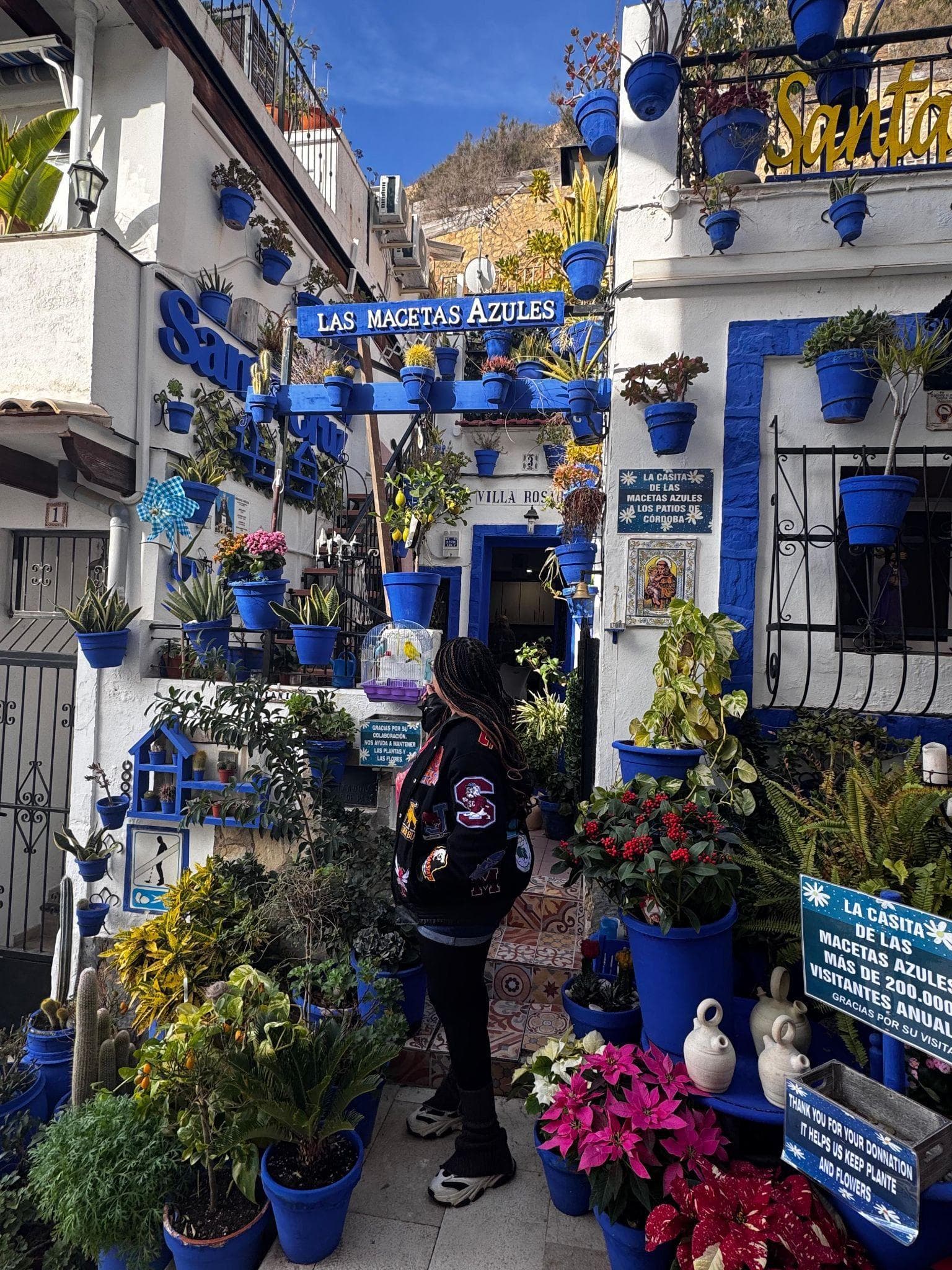 Galería 11